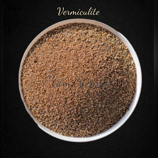 500g Vermiculite giúp hấp thụ nước và dinh dưỡng