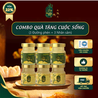 Combo yến chưng đường phèn (3)  yến chưng sâm ( 3 )