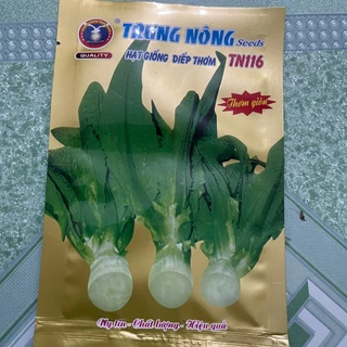 Hạt Giống Diếp Thơm