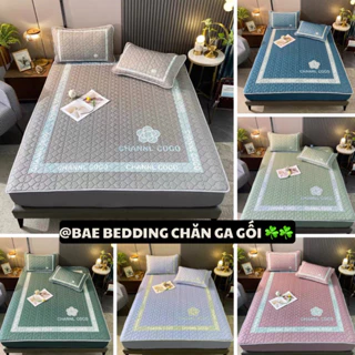 Chiếu điều hòa cao su non Bo Chun 5D, chiếu bọc đệm CoCo cao su non hàng cao cấp, mát mùa hè 1m6, 1m8, 2m2 kèm 2 vỏ gối