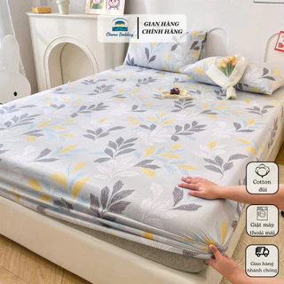 Bộ 3 món ga gối cotton đũi mềm mại thoáng khí, drap giường đủ size 1m4 1m6 1m8 2m Otama Bedding