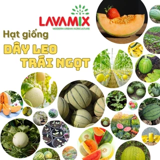Hạt giống Cây Ăn Quả - Rau Ăn Trái trồng quanh năm, dễ chăm sóc, thương hiệu Rạng Đông | Đất trồng cây Lavamix