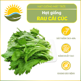 Hạt giống Rau Cải Cúc(Tần Ô) HGMT22 tăng sản,trồng quanh năm,tỷ lệ nảy mầm>95% - HẠT GIỐNG MẶT TRỜI