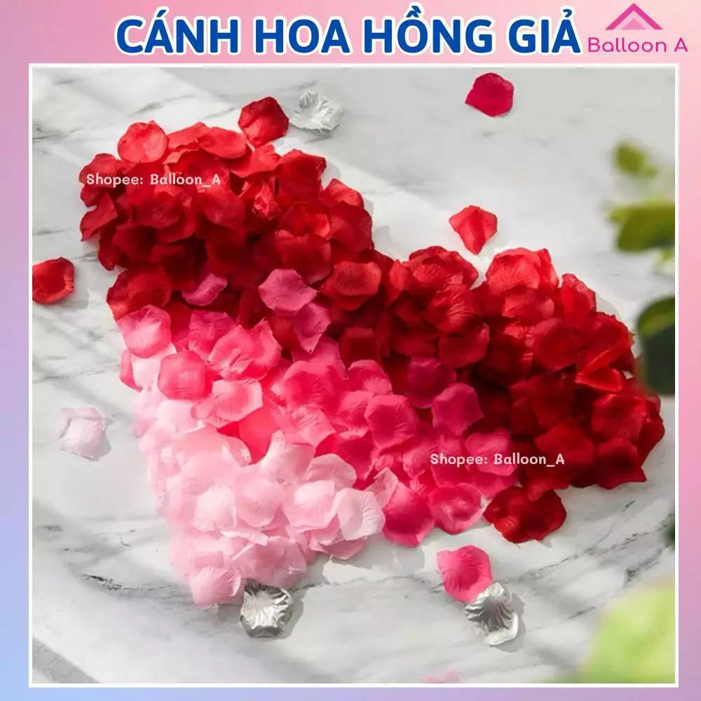 Set 100,300 cánh hoa hồng giả bằng vải rải sàn trang trí tiệc cưới tỏ tình cầu hôn sinh nhật