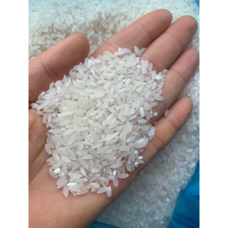 Gạo Khang Dân cơm khô