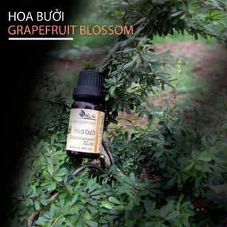 Tinh dầu Hoa Bưởi (absoluted) - Tinh Dầu Hà Na