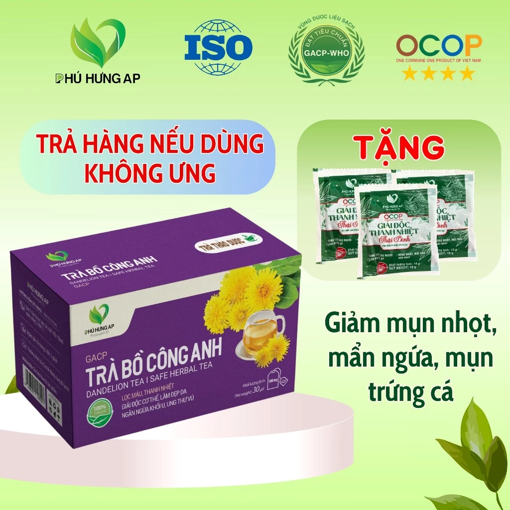 Trà bồ công anh túi lọc, lợi sữa, giảm mụn nhọt, thanh nhiệt cơ thể, trà thảo dược túi lọc AP Phú Hưng