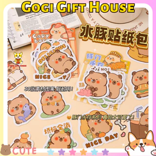 Túi 30 miếng sticker, hình dán đa năng Chuột lang Capybara trang trí bình nước, điện thoại, mũ bảo hiểm, decor đồ dùng