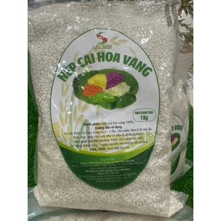 nếp cái hoa vàng SALACO