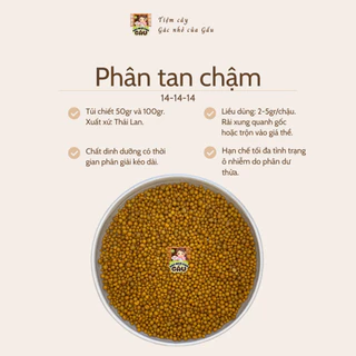 Phân tan chậm