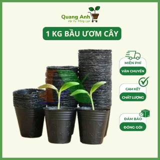 1 Kg Bầu ươm cây