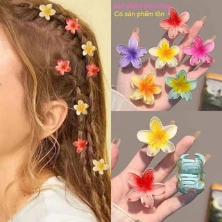 (Size 4cm) Kẹp tóc hoa sứ nhiều màu