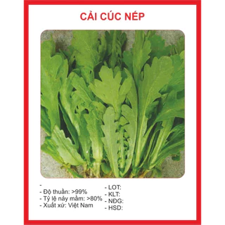 20G Hạt Giống CẢI CÚC TẺ, CẢI CÚC NẾP Năng Xuất cao , Dễ Trồng, ăn ngon