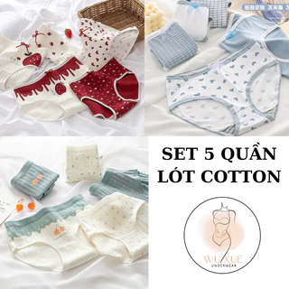 Set 5 quần lót nữ cotton, quần chip nữ chất liệu cotton, quần lót thoáng mát thấm hút