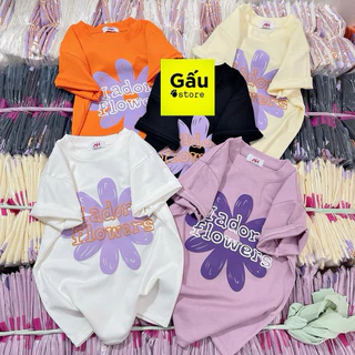 Áo thun babytee nữ PHOM ÔM nhẹ tay ngắn ( Mã Hoa )