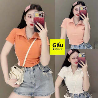 Áo thun Pô Lô CROPTOP nữ Tay ngắn PHOM ÔM phối hai sọc thân phom ôm sát ( 787 )