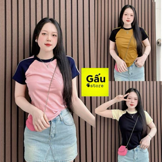 Áo thun dáng ôm nữ phối sọc tay RAGLAN ( RAGLAN CT MỚI )