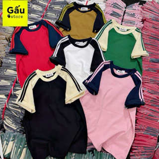 Áo thun ôm body nữ phối sọc tay RAGLAN ( Mã RAGLAN CT MỚI  )