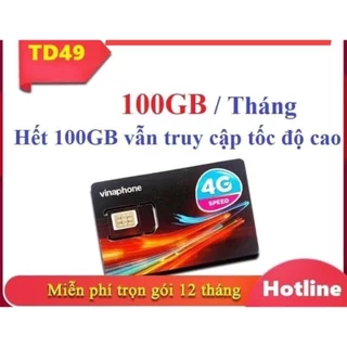 SIM 4g Vina TD49 100G/THÁNG MIỄN PHÍ 12T KHÔNG CẦN NẠP THÊM TIỀN( CÓ ESIM)