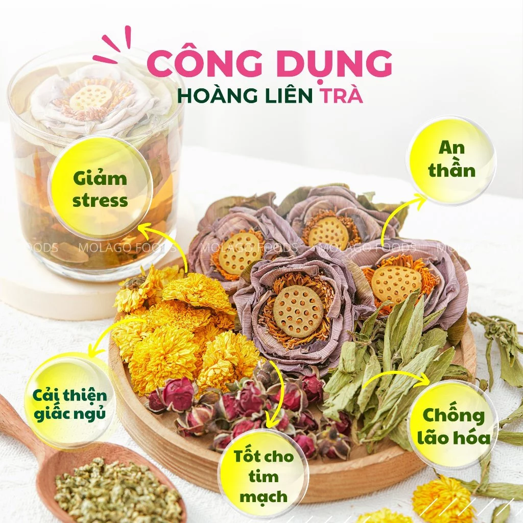 Trà thảo mộc Hoàng Liên Trà hoa cúc cỏ ngọt, MoLaGo Food trà atiso detox, trà bổ não an thần dưỡng nhan