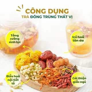 Trà thảo mộc Đông Trùng Hạ Thảo Thất Vị, trà tăng cường sinh lực MoLaGo Food dưỡng nhan bổ não, điều hòa nội tiết tố nữ