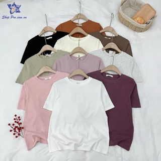 Áo Phông Thun Nữ Dáng Suông Chất Cotton Trơn, Mềm Mát Shop Pro PG86