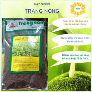 1kg Hạt giống cải bẹ xanh ăn non Trang Nông, dễ trồng nhanh thu hoạch