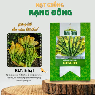 Hạt giống Bí Nụ Lai F1 Gita 33 (5 hạt) giống bí siêu nụ, nảy mầm tốt, trồng quanh năm - Hạt giống Rạng Đông