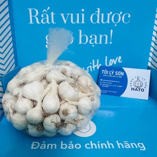 Tỏi Lý Sơn Chính Gốc - Loại Nhiều Tép - Túi lưới 500g - Đường Kính 1~3cm - Hành Tỏi Lý Sơn HATO