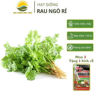 Hạt giống Rau Mùi Ta(Ngò Rí) MT843 tăng sản,trồng quanh năm,Mua 3 Tặng 1 kích rễ -HẠT GIỐNG MẶT TRỜI