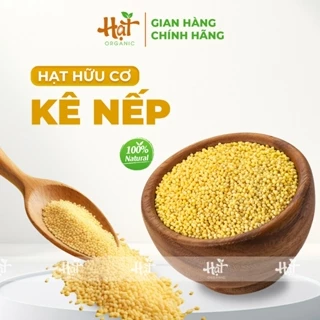 HẠT KÊ NẾP VÀNG - NẤU SỮA HẠT, LÀM ĐỒ ĂN - ĐÓNG GÓI CHÂN KHÔNG 500G