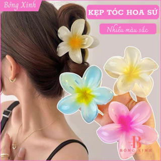 Kẹp Tóc Hoa sứ BÔNG XINH Kẹp tóc hoa Nhiều Màu Sắc Phong Cách Hàn Quốc
