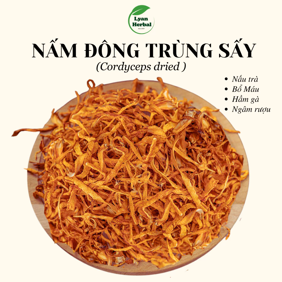 Nấm đông trùng  nấu ăn hầm gà làm trà thảo mộc giúp bồi bổ khí huyết, ngủ ngon, phục hồi sức khỏe cho người yếu sức