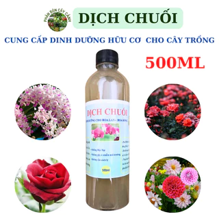 Dịch chuối vi sinh đậm đặc chai 500ml - Chế phẩm thần dược dùng cho phong Lan, hoa hồng