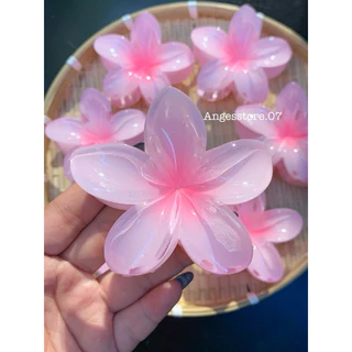 KẸP TÓC HOA SỨ 8 CM  MẪU MỚI NHẤT🌸