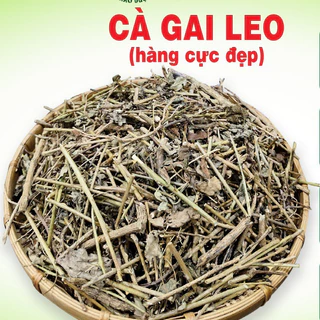 cà gai leo khô Hòa Bình - Hàng Công ty Thảo Dược Việt