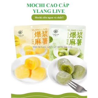 [Hàng Cao Cấp] Bánh Mochi cao cấp, Bánh Mochi Đài Loan vị Xoài Vỏ Bánh Dẻo Dai, Dùng Với Trà, Cafe tthơm ngon đồ ăn vặt