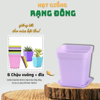 Chậu Vuông Kèm Đĩa Lót Combo 6 Cái - 6 Màu:Vàng, Xanh, Lam, Tím, Hồng, Trắng trồng sen đá, ươm cây - Hạt giống Rạng Đông