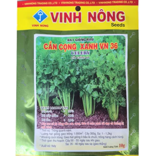 Hạt Giống Rau Cần (10g), rau Cần Cọng Xanh