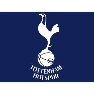 [ Tottenham ] Set Thẻ Cầu Thủ Bóng Đá Match Attax & Panini CLB Tottenham