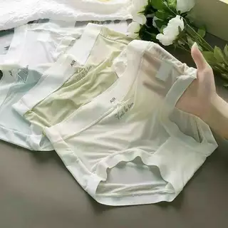 Quần lót tàng hình su lụa size L