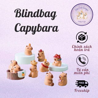 Blindbag túi mù mô hình nhân vật trang trí Capybara chuột lang nước