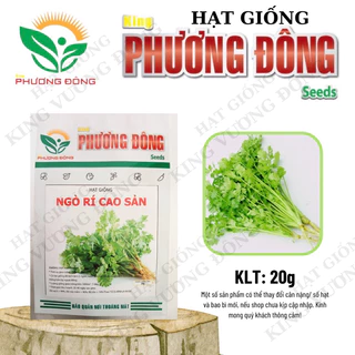 HẠT GIỐNG NGÒ RÍ CAO SẢN 20gr - MUA 3 TẶNG 1 CÙNG LOẠI - HẠT GIỐNG KING PHƯƠNG ĐÔNG