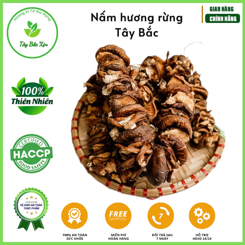 [Tây Bắc Xịn] Nấm hương rừng xiên que sấy khô Tây Bắc - hàng ngon loại 1