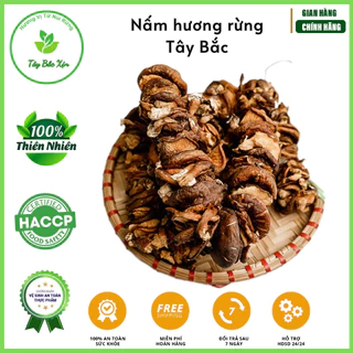 [Tây Bắc Xịn] Nấm hương rừng xiên que sấy khô Tây Bắc - hàng ngon loại 1