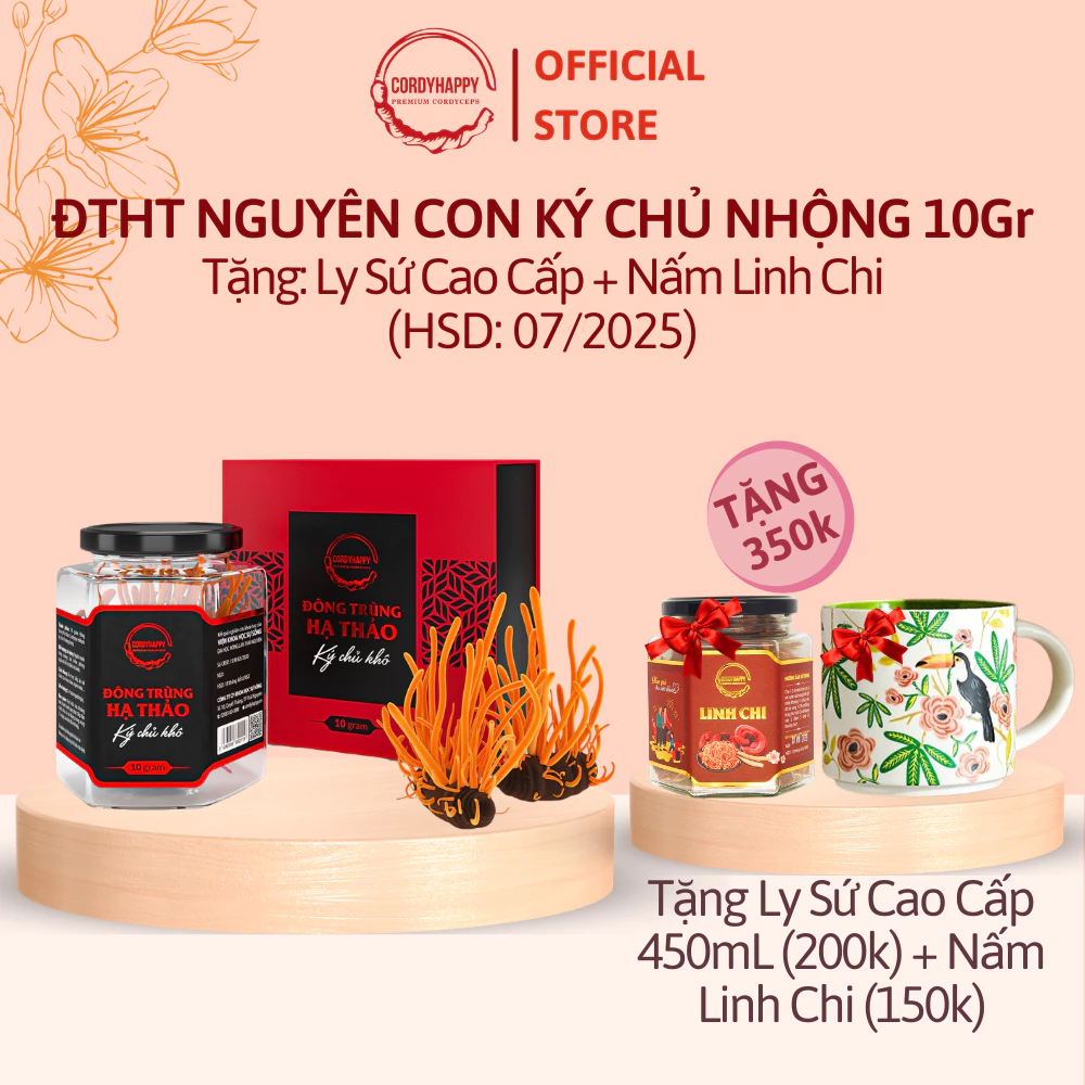 Đông Trùng Hạ Thảo Nguyên Con Ký Chủ Nhộng Tằm CordyHappy - Hộp 10g