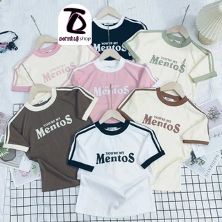 Áo Baby Tee Mentos Full Màu Phối Viền Vải Borip Quảng Châu Co Dãn 4 Chiều - Dư Tú Lệ Shop