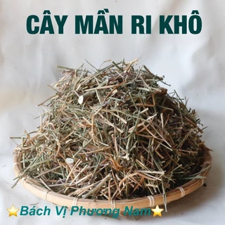 Cây Mần Ri Khô 1Kg- Bách Vị Phương Nam