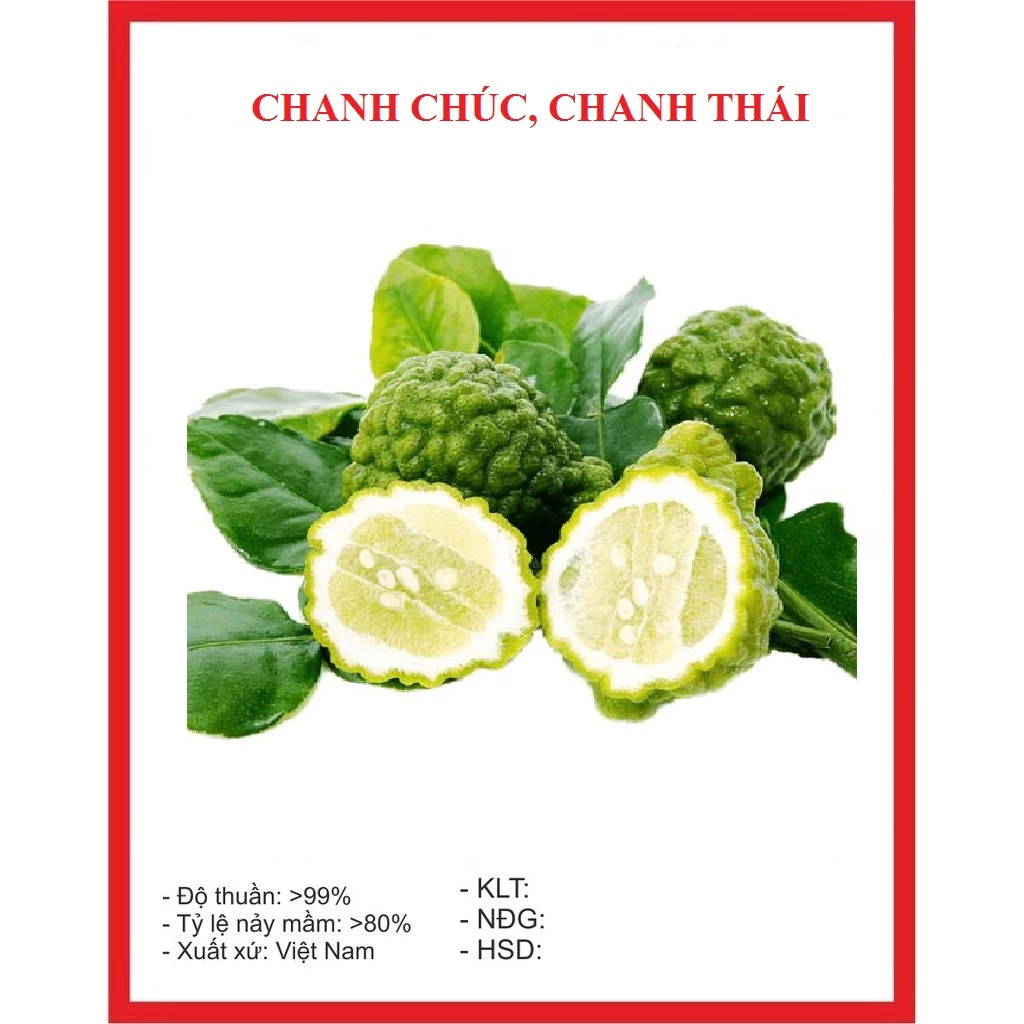 Hạt giống cây chanh Thái, chanh chúc, chanh bưởi-gói 10 hạt-tặng kèm gói phân