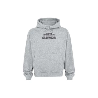 Áo Hoodie Verifying The Human Màu Xám [Decal cao thành mặt sau]